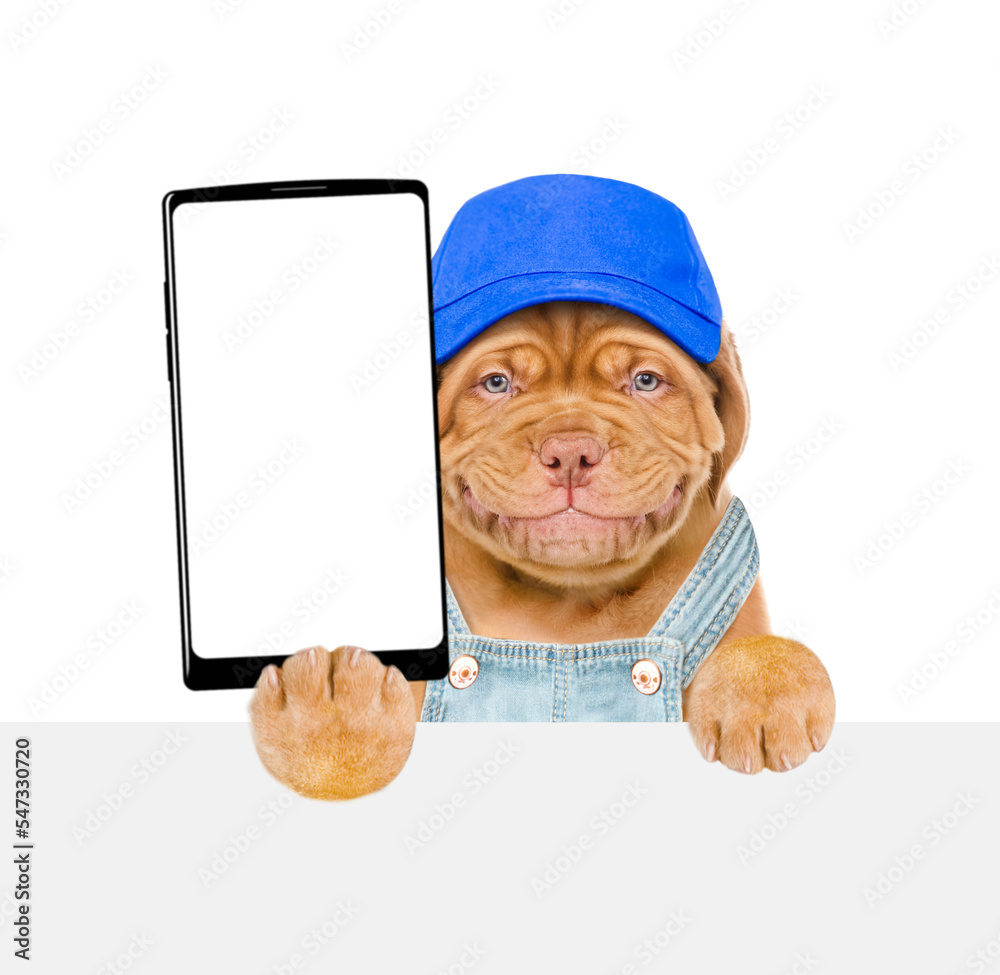 Poster Smiling puppy wearing overalls and red cap holds big smartphone with white blank screen in it paw, showing close to camera above white banner. Empty free space for mock up, banner