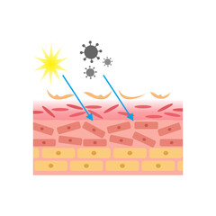 vector illustration of human skin structure anatomy. damaged and exposed by bacteria, dirt and UV rays. epidermis and desmis. illustration for science and medical health.