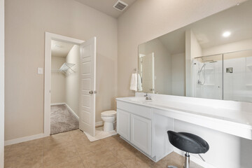 Fototapeta na wymiar Luxury home bathroom 