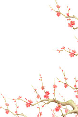 紅梅の花の背景　縦　手描き色鉛筆画