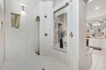 Luxury home bathroom 