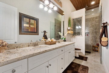 Luxury home bathroom 