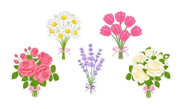 Flowers bouquets set. Pink and white roses, daisies, lavender and tulips. Collection of vector cartoon floral illustration.