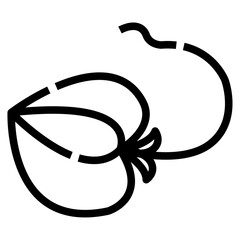 Manta ray fish icon, Outline style. Isolate on transparency background