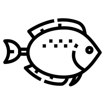 recommend clip art: flounder fish icon, Outline style. Isolate on transparency background