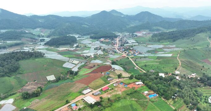 strawberry plantation and village at mea tang chiang mai norther of thailand aerial drone of point view, 4k video
