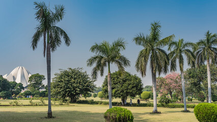 A row of tall palm trees grows on the lawn in the park. Spherical trimmed bushes and flowering trees around. A white Lotus Temple is visible against the blue sky. India. Delhi