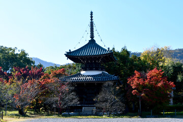 Fototapeta premium 京都 清涼寺