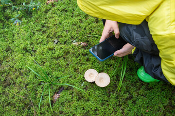 Mobile photography - taking picture using smart phone. Little boy exploring mushrooms in forest....