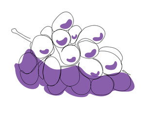 Single line grape illustration, simple minimalistic