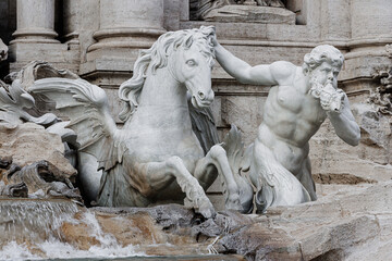 TREVI FOUNTAIN - PACIFIC MARINE WINGED HORSE