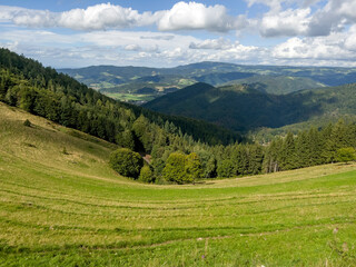 Obraz premium The wonderful view over the mountains and forests near Freiburg.
