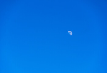 The dark blue sky during the day without clouds  clearly revealing the moon  It is a beautiful natural phenomenon.