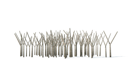 3d Tree trunk Isolated on PNGs transparent background , Use for visualization in architectural design or garden decorate	
