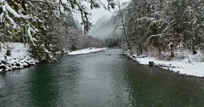 Stillaguamish River WA USA - Aqua Blue Cold Winter Vibes Rising to Green Mossy Branches Filled with Snow Mid-Winter Scenic Landscape