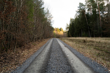 Fototapeta premium Gravel road between trees in the landscape on an autumn afternoon