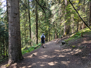Arkhyz, Karachay-Cherkessia, Russia - August 25, 2022: Beautiful view of the coniferous forest. The rays of the sun break through the branches of trees. Man with a backpack walks along the path