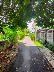 road in the countryside