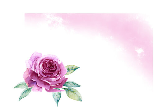 Corner floral frame of purple rose with leaves and lilac fog isolated on white background. Hand drawn watercolor. Copy space.