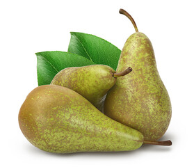 Green conference pear isolated on white background with full depth of field
