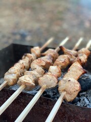 cooking food on a campfire in the summer on a trip