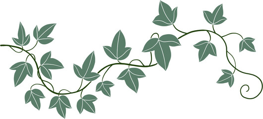 Simplicity ivy freehand drawing