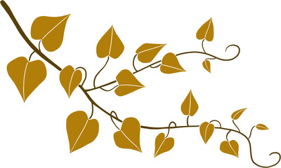 Simplicity ivy freehand drawing