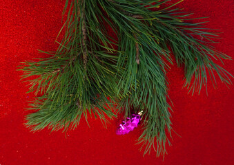 Christmas card on a red background Christmas tree sprig and balls