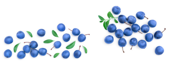 Blackthorn or Sloe berries with leaves isolated on white background with copy space for your text. Top view. Flat lay