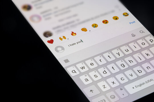 I hate you comment on Instagram,  hate, insult or bullying idea, comment section of Instagram