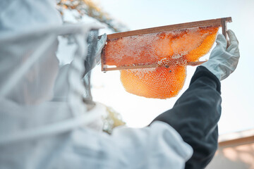 Beekeeper, safety and honeycomb, bee farming and honey natural product for small business or hobby....