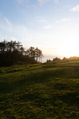 sunset in the field at enola state park in oregon over the pacific ocean