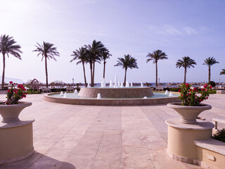 Garden with palms near to the sea