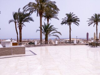 Fototapeta na wymiar Garden with palms near to the sea