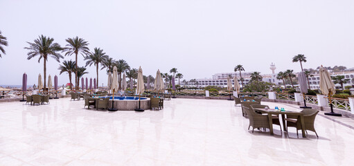 Garden with palms near to the sea