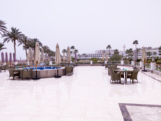 Garden with palms near to the sea