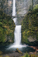 Multnomah waterfall and bridge in the deep forest of Oregon