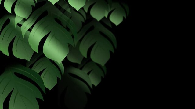 Animated background of leaves swaying in the wind and exposed to light in the dark