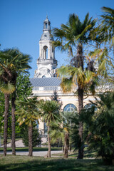 Fototapeta na wymiar Palais Beaumont à moitié caché derrière les palmiers, parc Beaumont, Pau, Pyrénées, Béarn, France