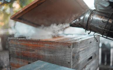 Smoke, beekeeping and agriculture with a wood box and bee smoker for production of honey, honeycomb...