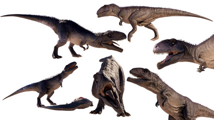 set Giganotosaurus dinosaur running and roaring on a blank background PNG