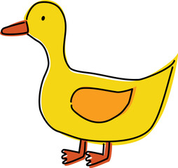 illustartion duck