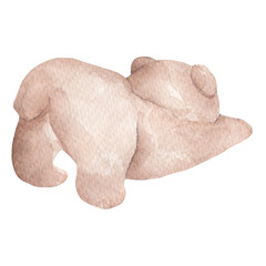 Polar bear. Watercolor illustration isolated on white background. Sketch animal. Cute wild bear. Picture. Image