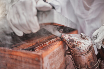 Beekeeper, bee bellows and smoke in hands closeup at apiary farm, agriculture or industry....