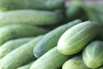 photographs of some landescape ,nature ,flowers ,vegitablesetc