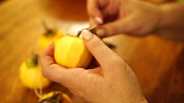 Woman hands preparing fresh persimmon fruit for drying, lined up on a rope. Row of Hanging Japanese dried Persimmon - Hoshigaki on strings to preserved it in autumn season. Selective focus