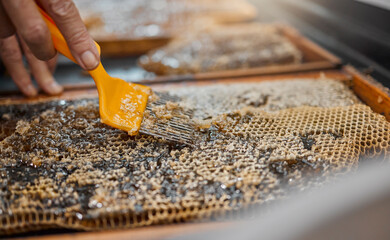 Honey, frame and closeup of scrape tools for bee farming, agriculture or food in beekeeping production. Beekeeper, honeycomb and apiculture worker with uncapping fork, natural product or work at farm - obrazy, fototapety, plakaty