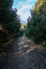 日本の兵庫県赤穂市のとても美しい山の風景