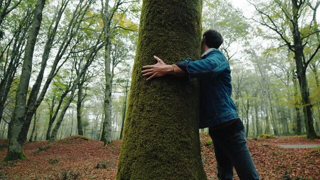 Boy hugs tree trunk. Love for nature