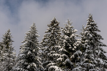 First snow in the mountains